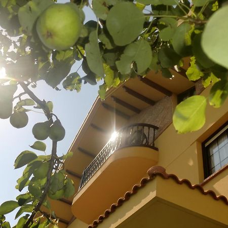 Posada Las Garzas Сантонья Экстерьер фото