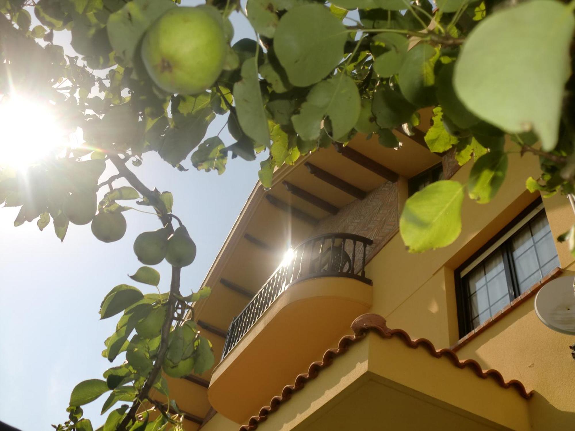 Posada Las Garzas Сантонья Экстерьер фото